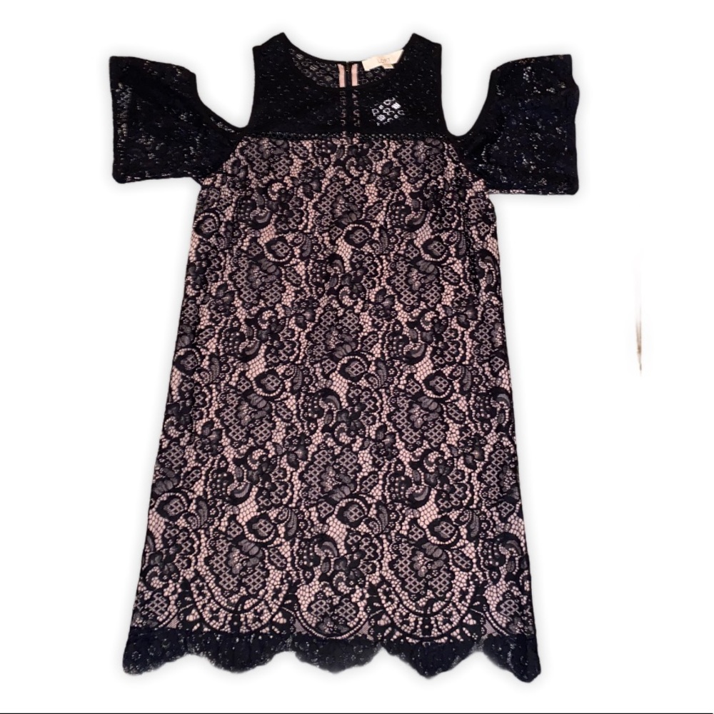 NWT Loft Boudoir Cold Shoulder Lace Dress